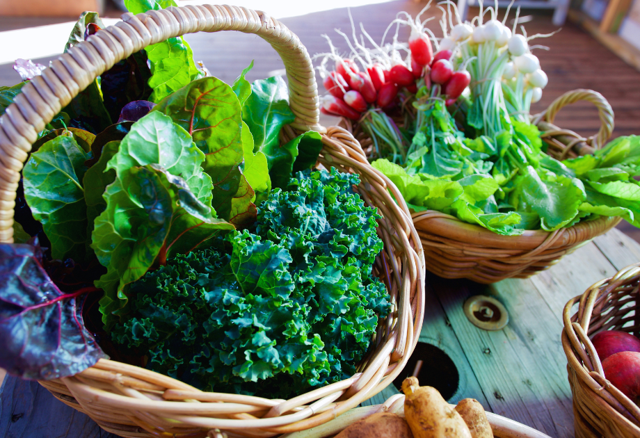 Freshly harvested vegetables including kale, lettuce, radishes, onions, and Swiss chard in baskets